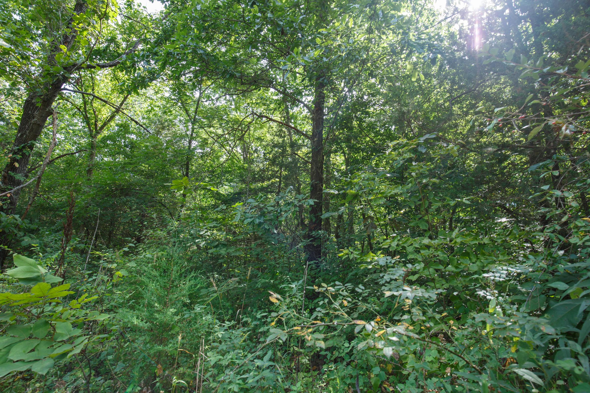 Tract 73 at Springlake in Miller County, Missouri