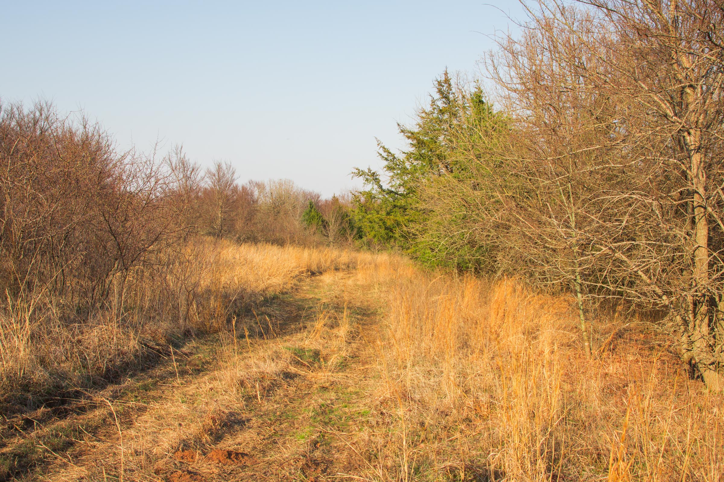 Tract 10 at Eufaula Cove in Pittsburg County, Oklahoma