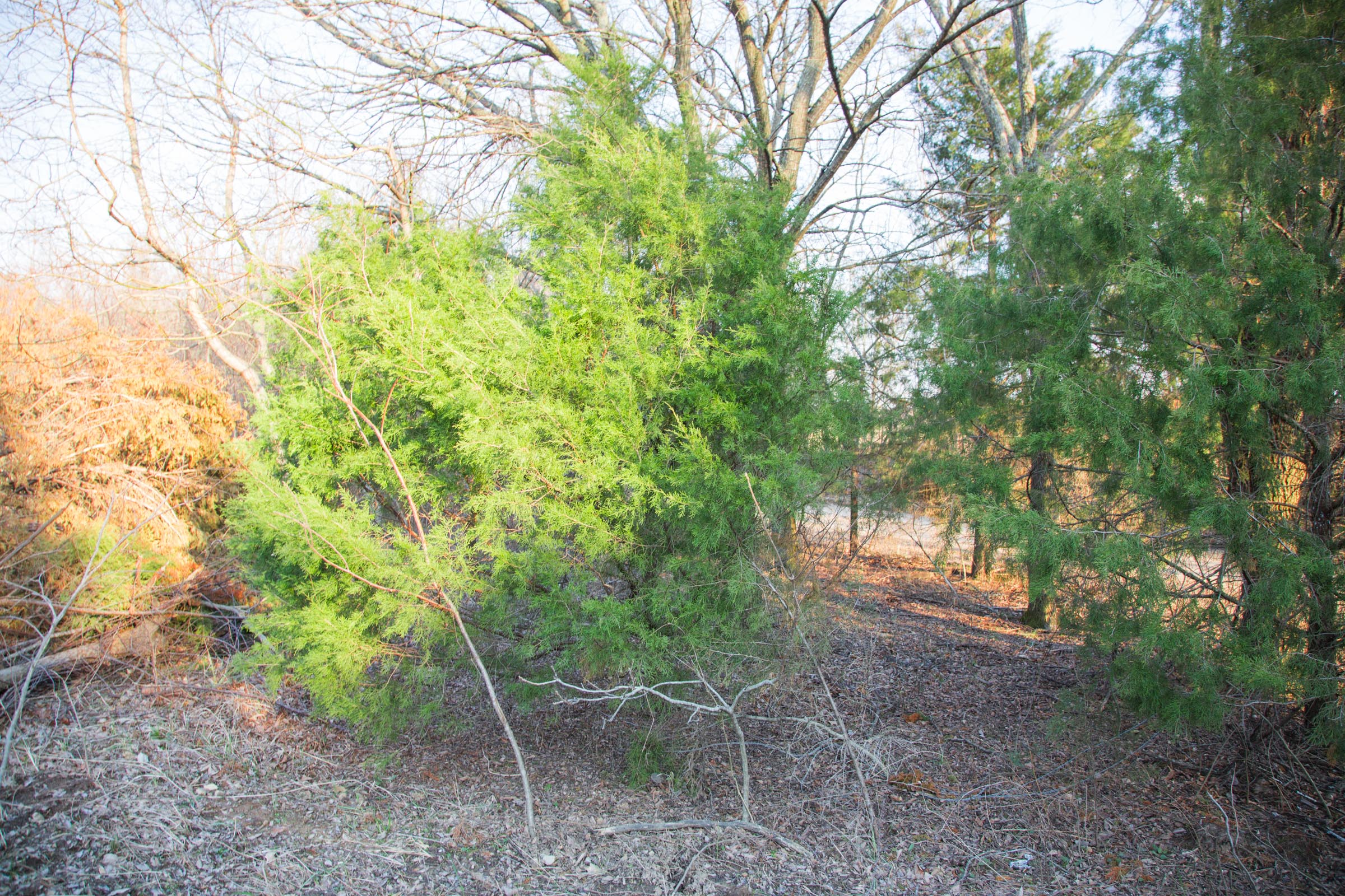 Tract 12 at Eufaula Cove in Pittsburg County, Oklahoma