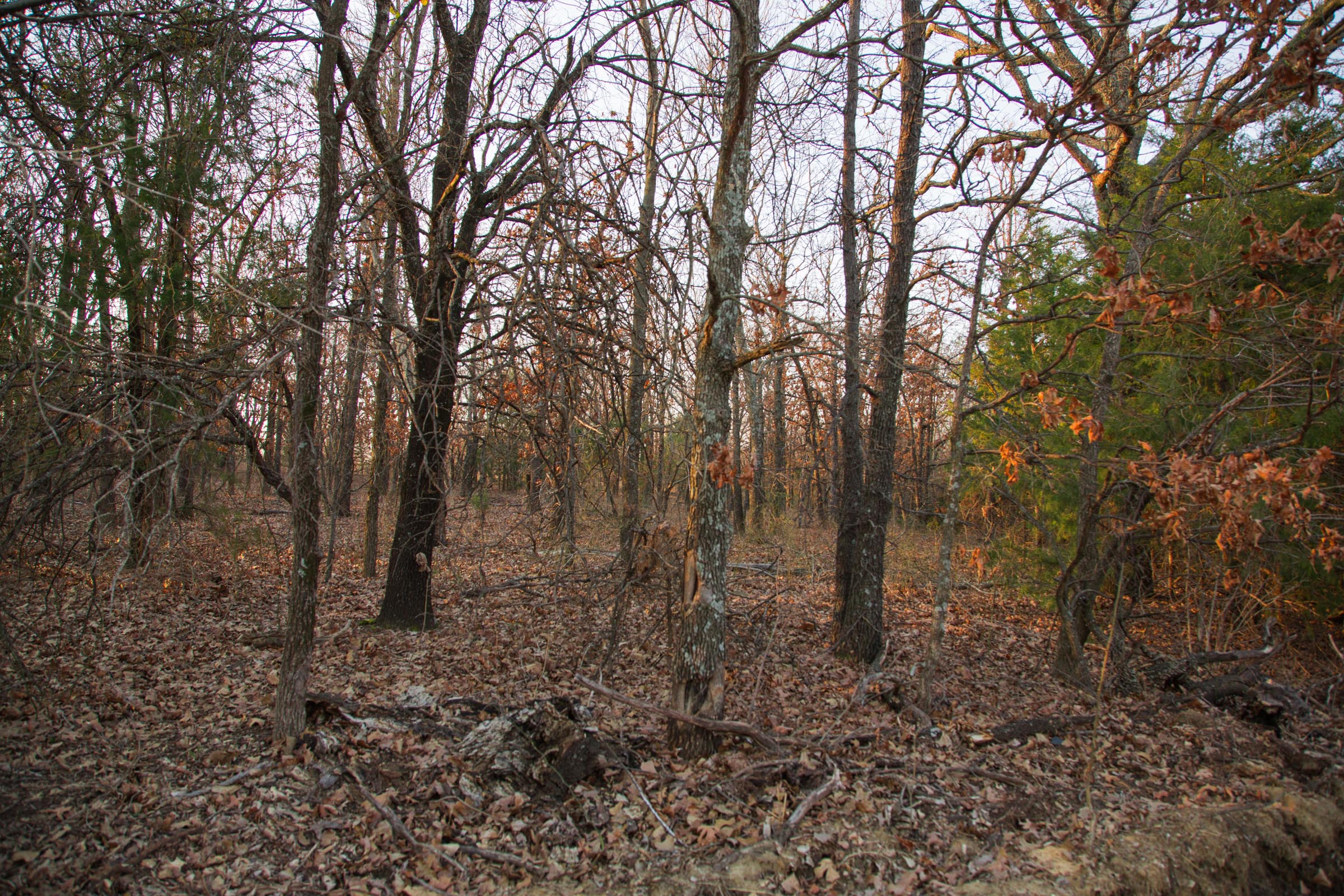 Tract 14 at Eufaula Cove in Pittsburg County, Oklahoma