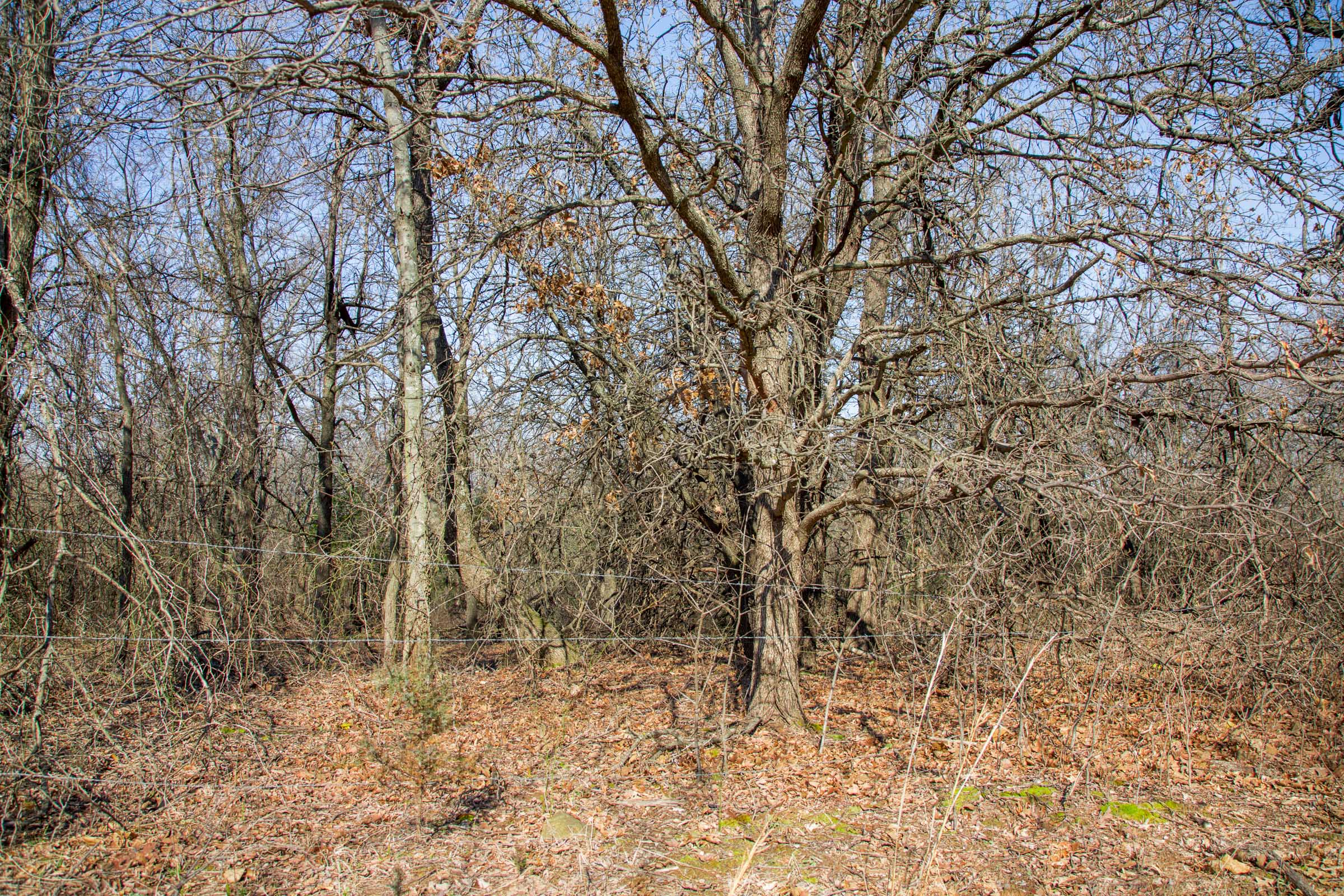 Tract 15 at Eufaula Cove in Pittsburg County, Oklahoma