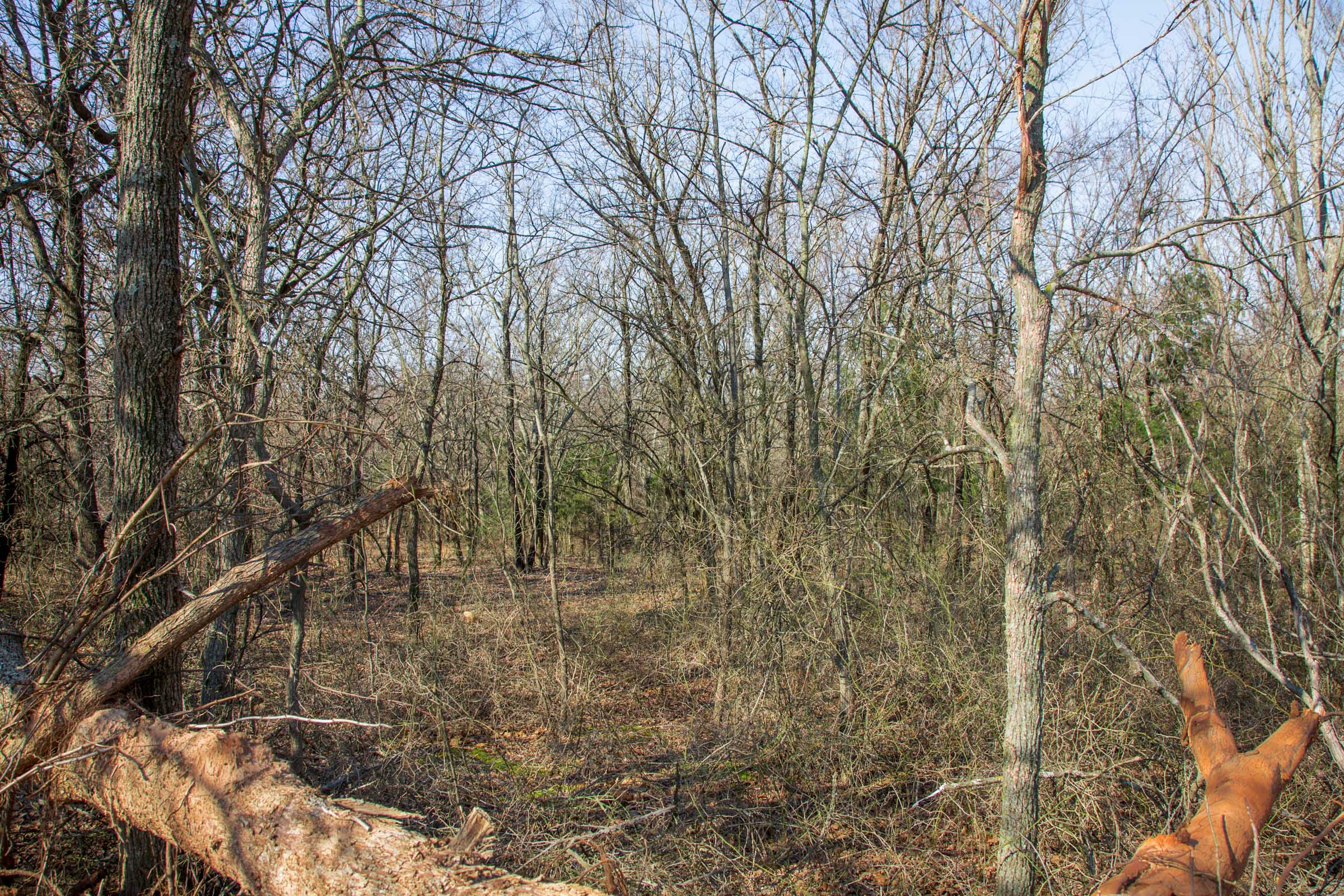 Tract 16 at Eufaula Cove in Pittsburg County, Oklahoma
