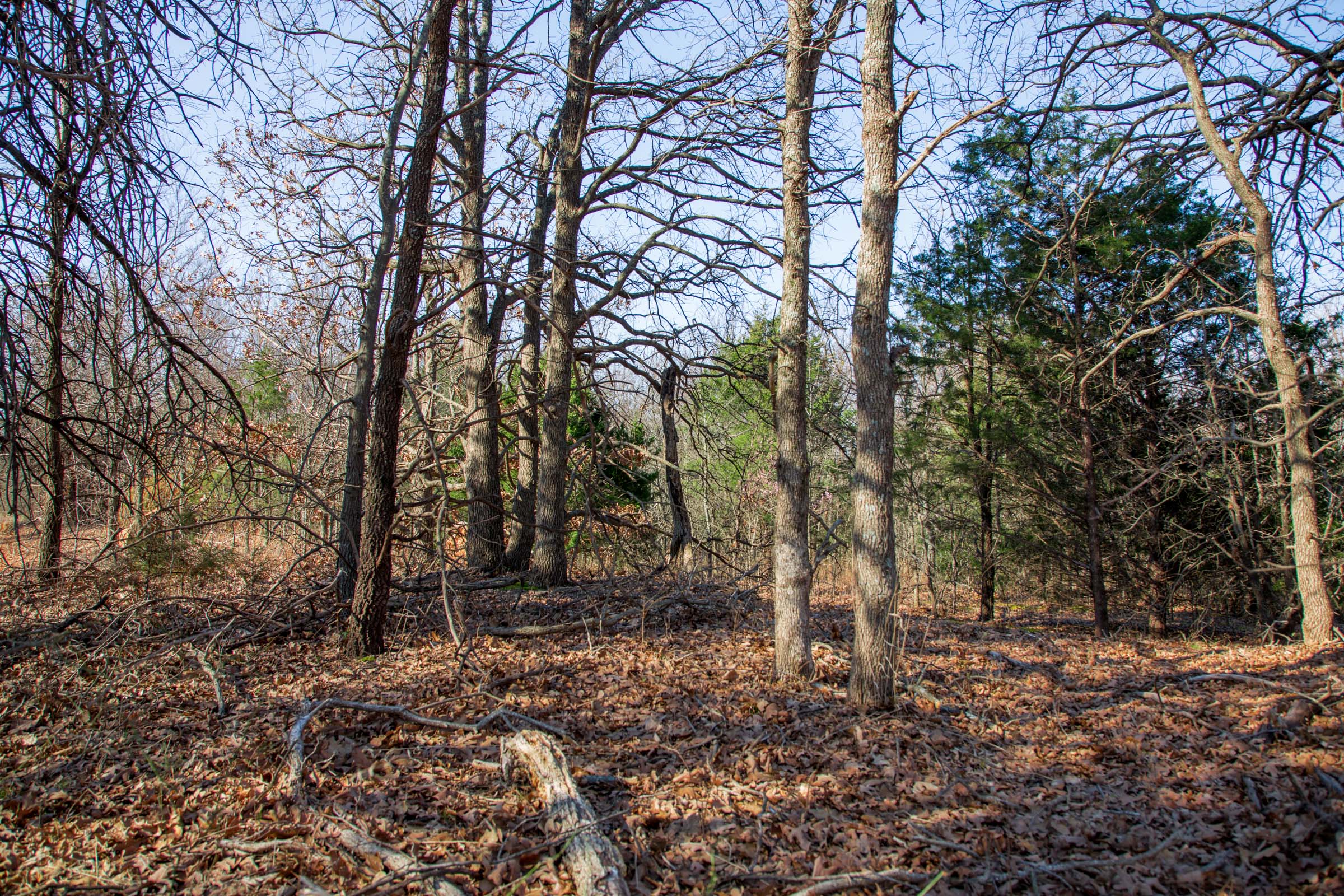 Tract 17 at Eufaula Cove in Pittsburg County, Oklahoma