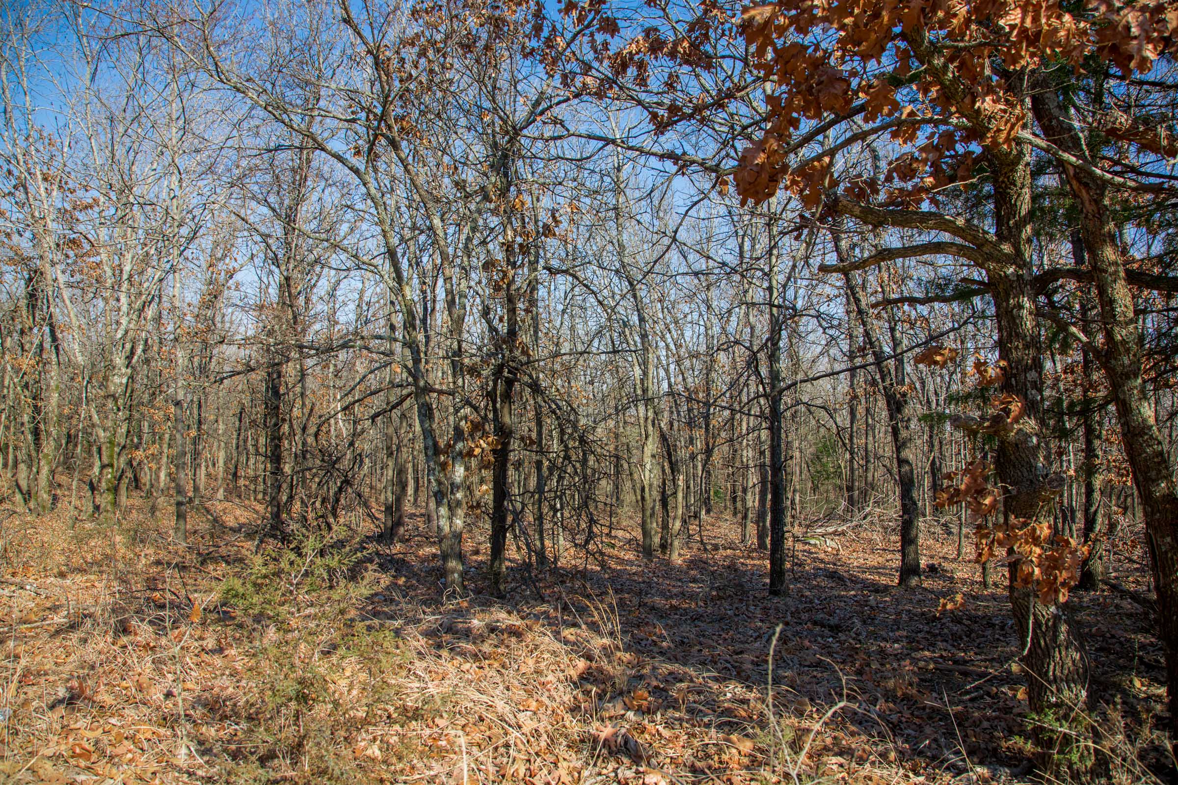 Tract 18 at Eufaula Cove in Pittsburg County, Oklahoma