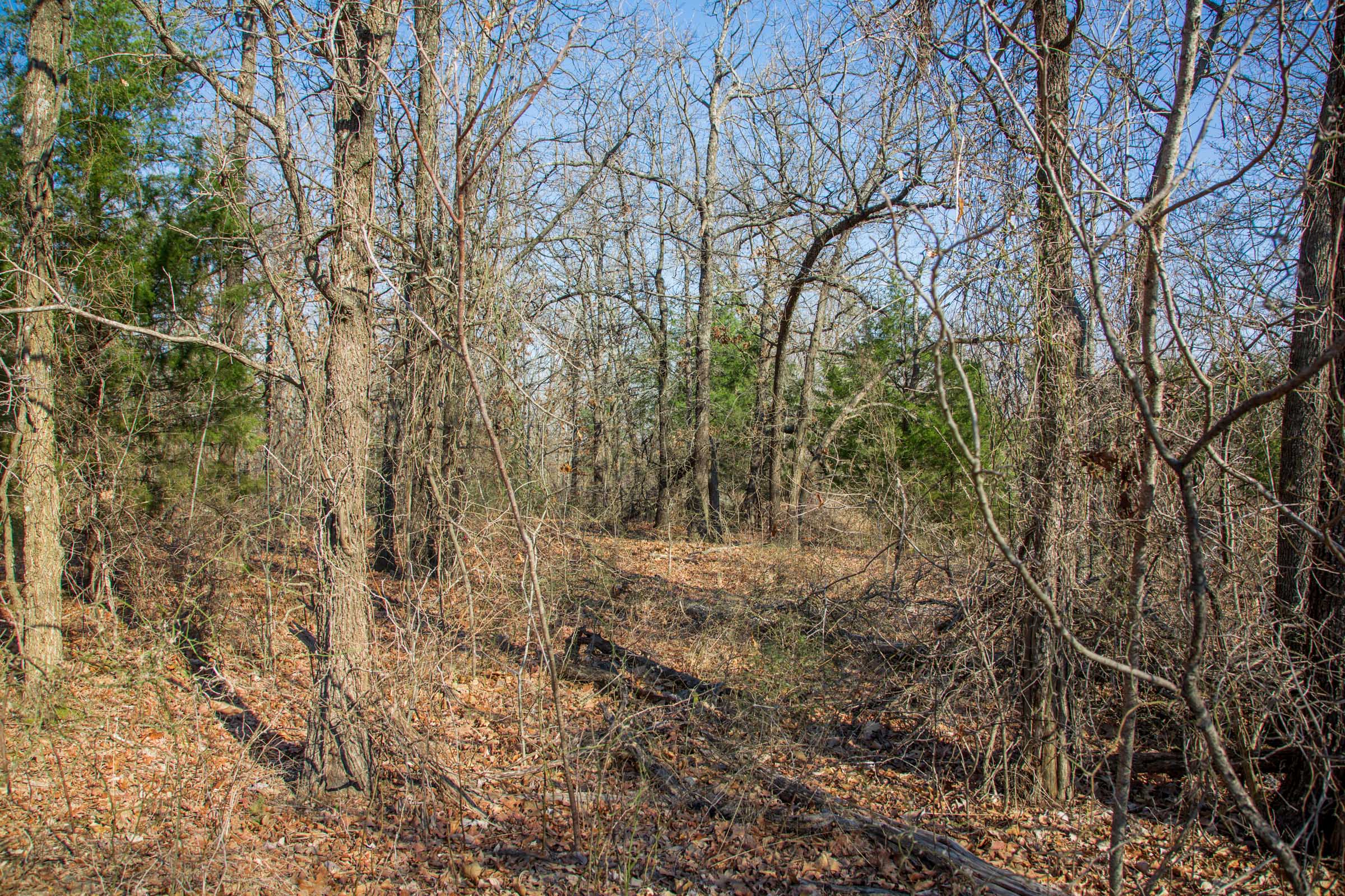 Tract 19 at Eufaula Cove in Pittsburg County, Oklahoma