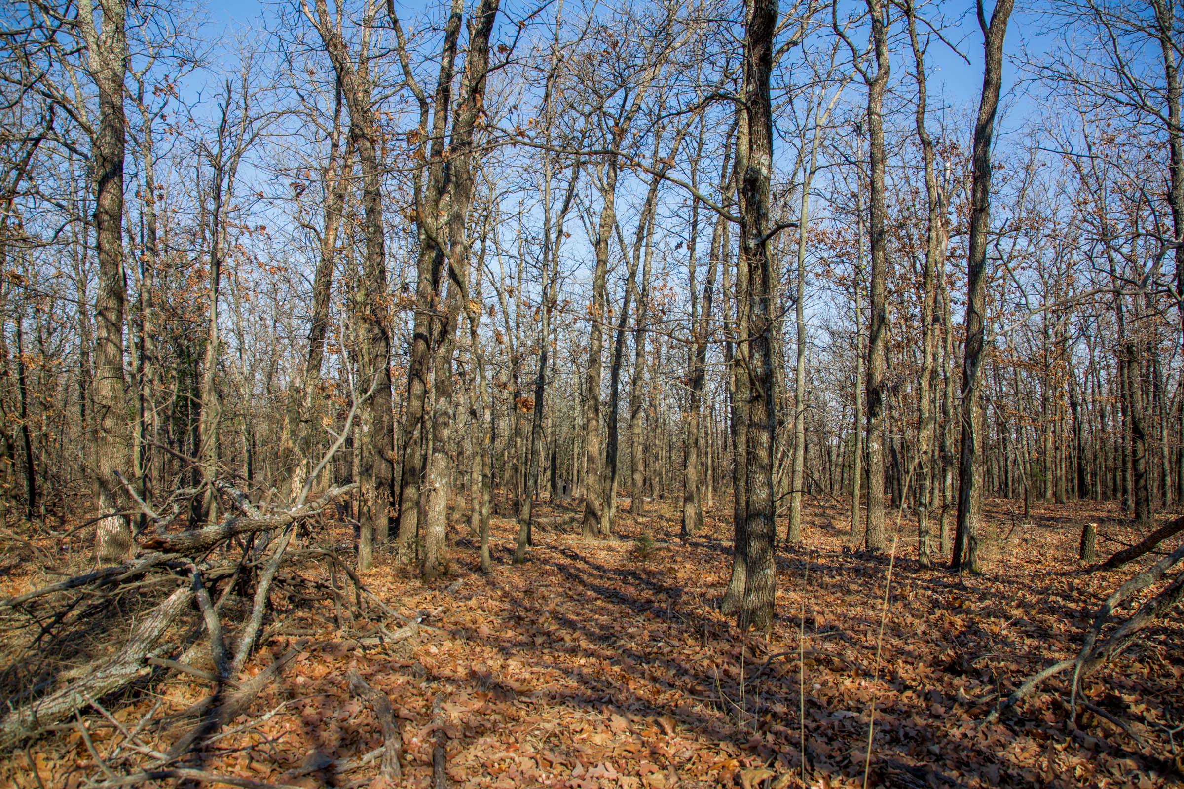Tract 20 at Eufaula Cove in Pittsburg County, Oklahoma