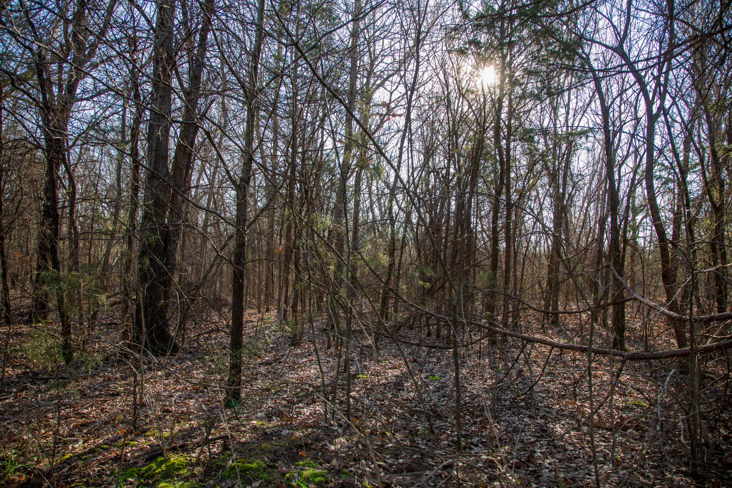Tract 22 at Eufaula Cove in Pittsburg County, Oklahoma
