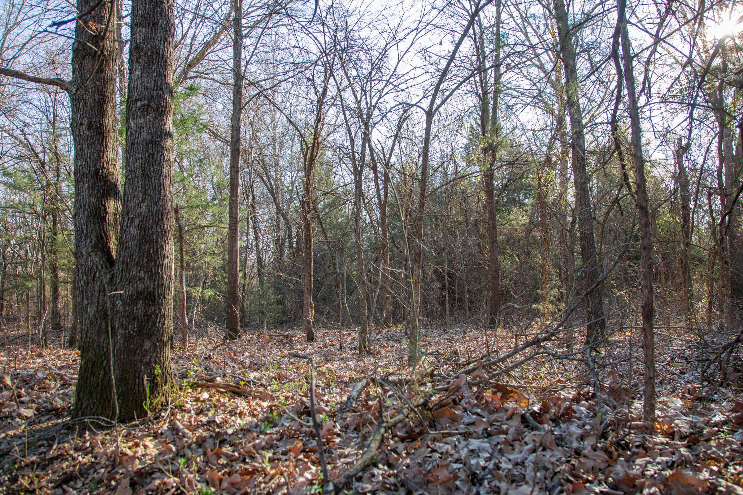 Tract 23 at Eufaula Cove in Pittsburg County, Oklahoma
