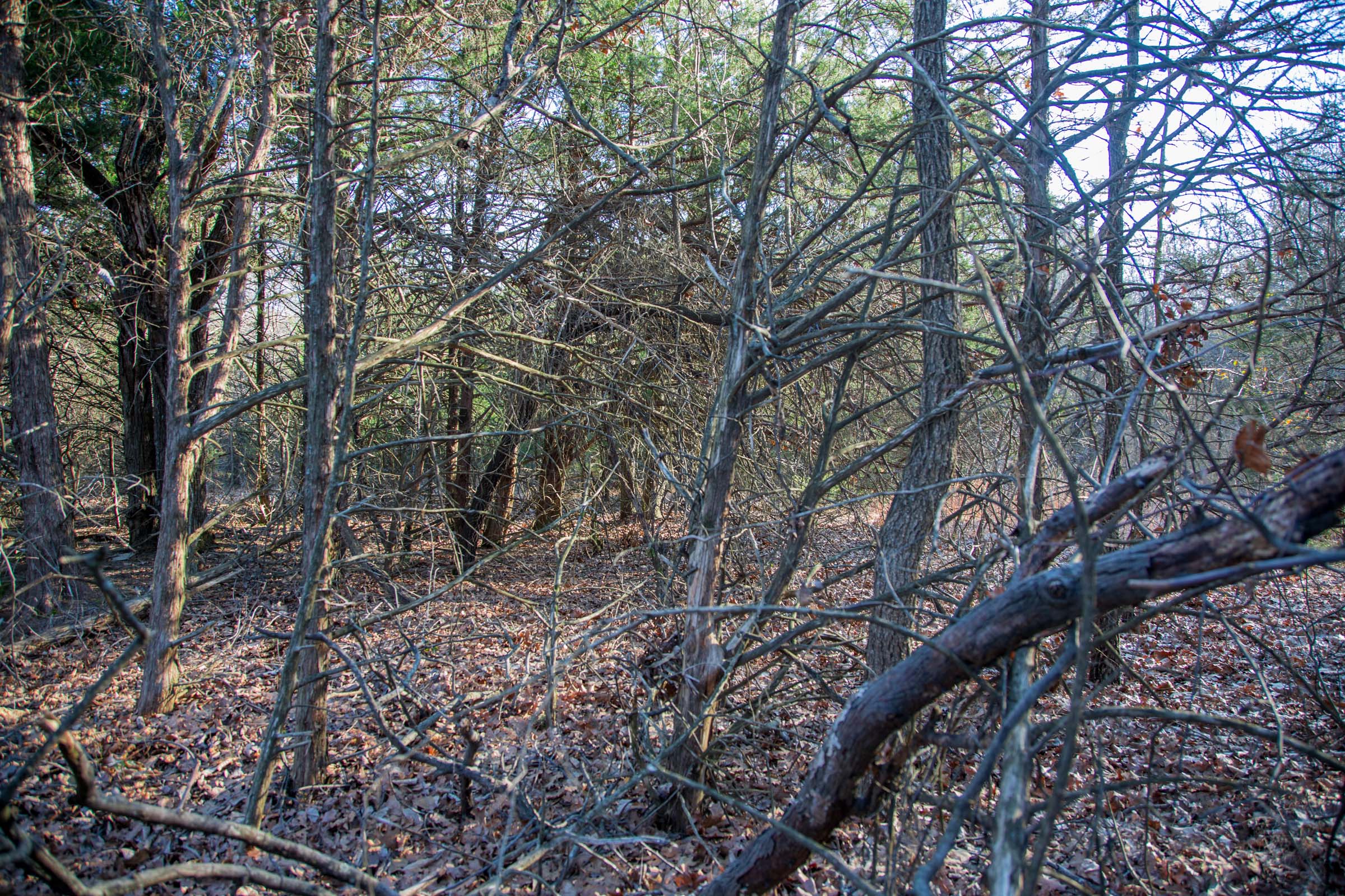 Tract 26 at Eufaula Cove in Pittsburg County, Oklahoma
