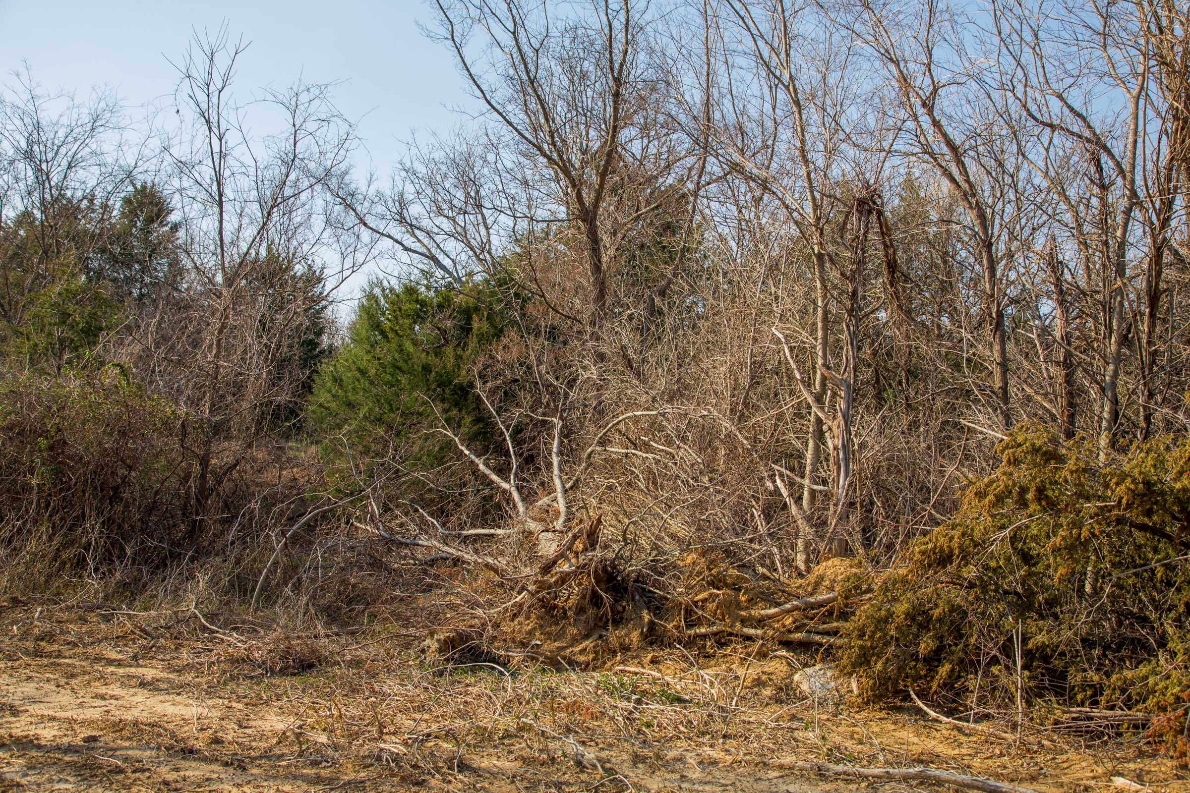 Tract 3 at Eufaula Cove in Pittsburg County, Oklahoma