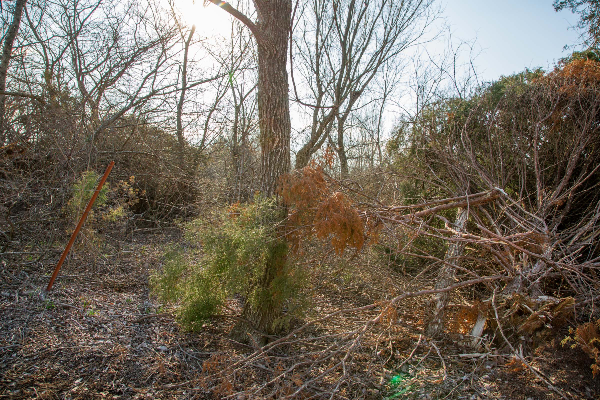 Tract 7 at Eufaula Cove in Pittsburg County, Oklahoma